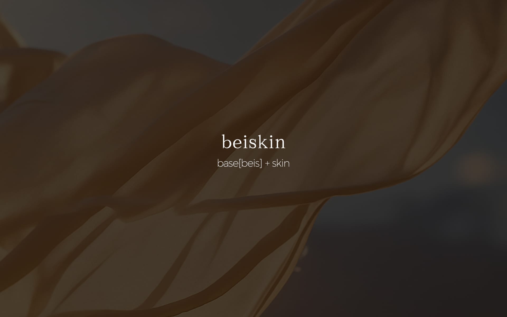 ̹